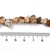 Natural Picture Jasper Nuggets Beads Strands G-B125-A10-01-4