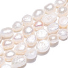 Natural Cultured Freshwater Pearl Beads Strands PEAR-N014-06A-3