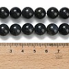 Natural Black Labradorite Beads Strands G-L642-B15-10mm-5