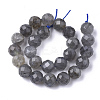Natural Labradorite Beads Strands G-S345-6mm-005-2