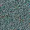 MIYUKI Round Rocailles Beads SEED-X0055-RR4506-2