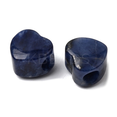 Natural Sodalite European Beads G-C269-01M-1