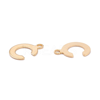 201 Stainless Steel Charms STAS-C021-06G-C-1