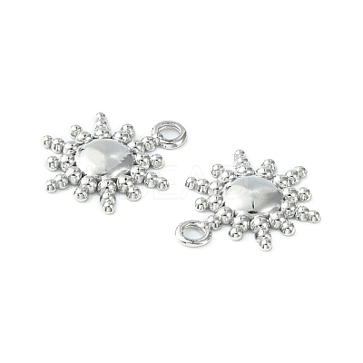 Non-Tarnish 304 Stainless Steel Charms STAS-L269-039P-1