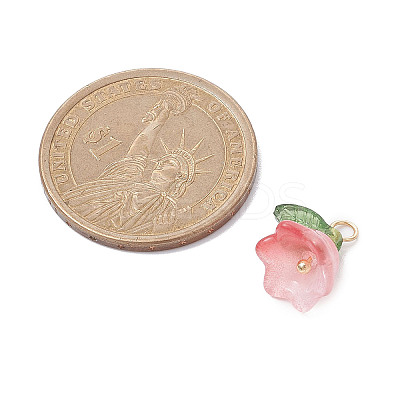 Acylic Pendant PALLOY-TA00089-1