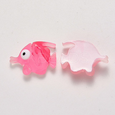 Translucent Frosted Resin Cabochons CRES-N022-13-1