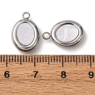 304 Stainless Steel Resin Pendants STAS-P406-15E-P-1