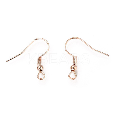 Iron Earring Hooks LS-X-IFIN-EC135-RG-1