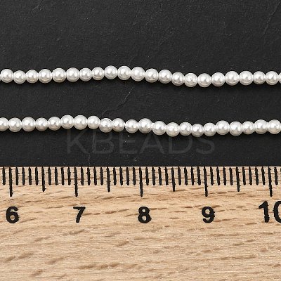 Electroplated Shell Pearl Beads Strands BSHE-K017-2mm-1