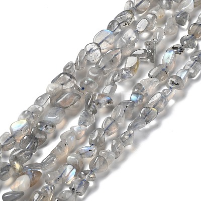 Natural Labradorite Beads Strands G-P497-01A-03-1