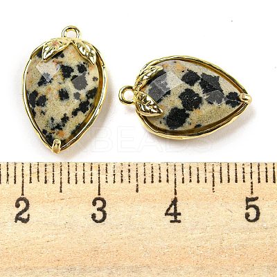 Natural Dalmatian Jasper Faceted Pendants G-M431-06G-05-1