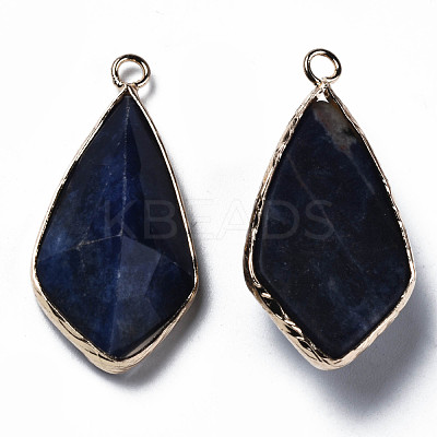 Natural Sodalite Charms G-Q998-029F-1