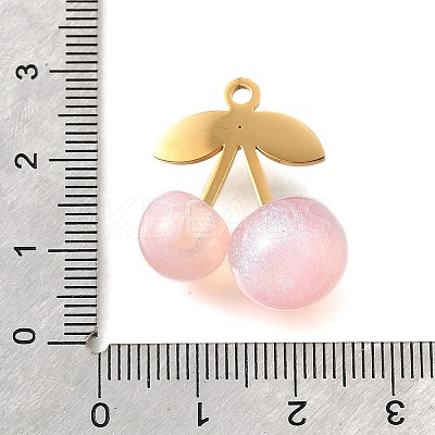 304 Stainless Steel Acrylic Pendants STAS-E549-01G-03-1