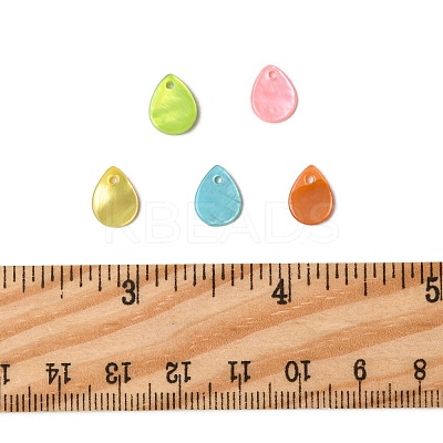 56Pcs 5 Colors Spray Painted Natural Freshwater Shell Teardrop Charms SHEL-FS0001-12-1