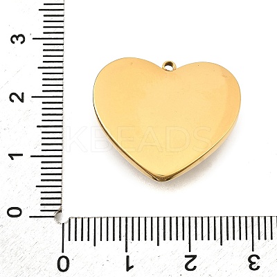304 Stainless Steel Pendants STAS-M123-03I-PG02-1