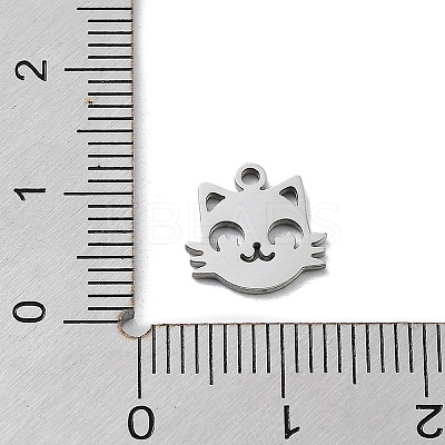 Non-Tarnish 304 Stainless Steel Charms LS-STAS-K272-01B-P-1