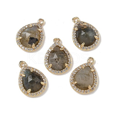 Natural Labradorite Faceted Teardrop Pendants G-U028-02G-06-1