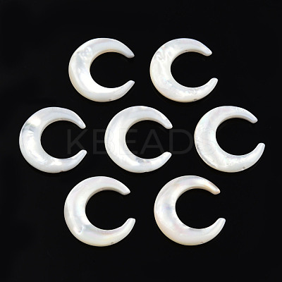 Natural White Shell Connector Charms SSHEL-N034-159-1