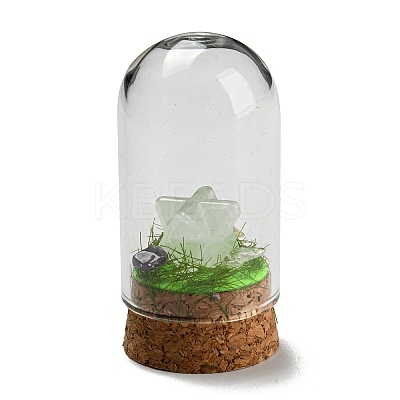 Natural Quartz Crystal Polygon Display Decoration with Glass Dome Cloche Cover DJEW-B009-05J-1
