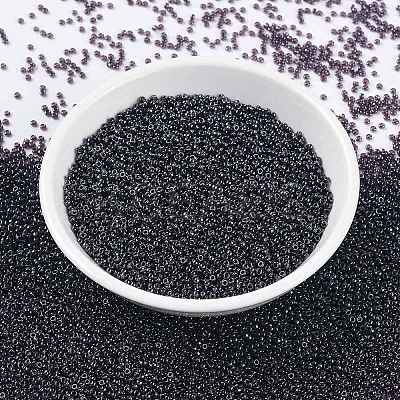 MIYUKI Round Rocailles Beads X-SEED-G009-RR0171-1