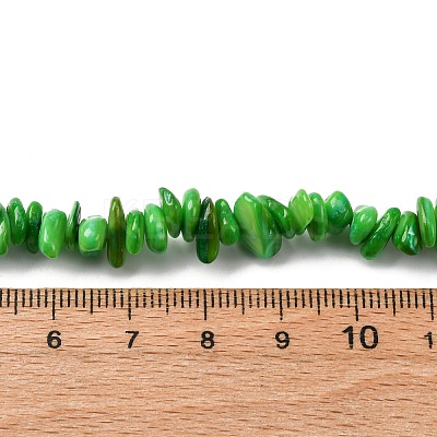 Natural Freshwater Shell Beads Strands BSHE-I016-01D-1