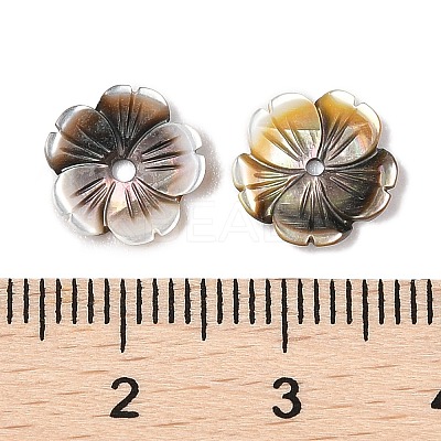 Natural Black Lip Shell Carved Beads SSHEL-I026-12A-04-1