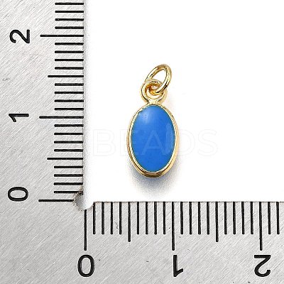 Brass Enamel Charms KK-C106-05G-1