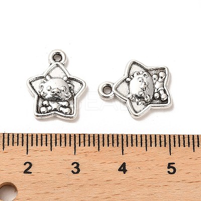 Tibetan Style Alloy Pendants FIND-C043-047AS-1
