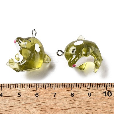 Marine Series Transparent Resin Pendants LS-RESI-E031-02P-10-1