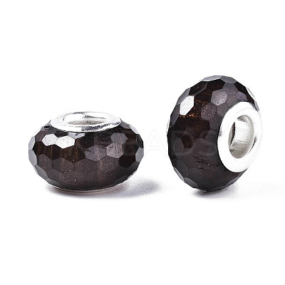 Resin European Beads LS-RPDL-S009-06-1