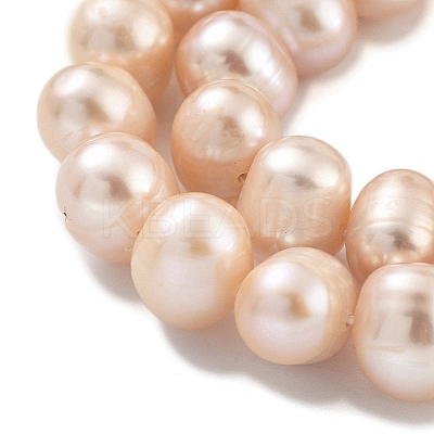 Natural Cultured Freshwater Pearl Beads Strands PEAR-C003-19B-1