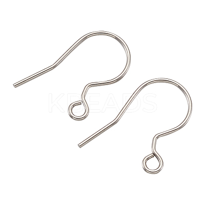 304 Stainless Steel Earring Hooks STAS-TAC0002-01P-1