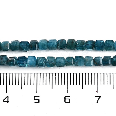 Natural Apatite Beads Strands G-P553-E03-02-1