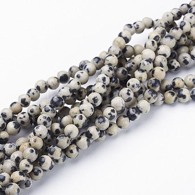 Natural Dalmatian Jasper Beads Strands GSR6mmC004-1