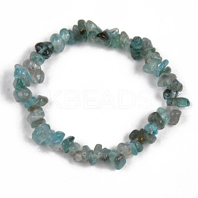 Unisex Chip Natural Apatite Beaded Stretch Bracelets BJEW-S143-54-1