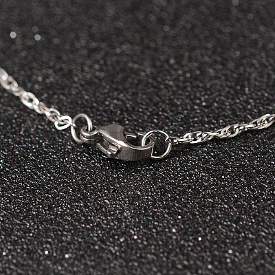 Non-Tarnish 304 Stainless Steel Rope Chain Necklaces NJEW-L437-01-1