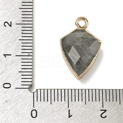 Natural Labradorite Pendants G-K422-01G-14-1