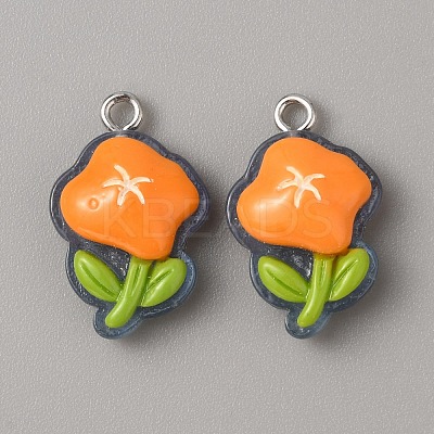 Translucent Resin Pendants RESI-TAC0019-08J-1