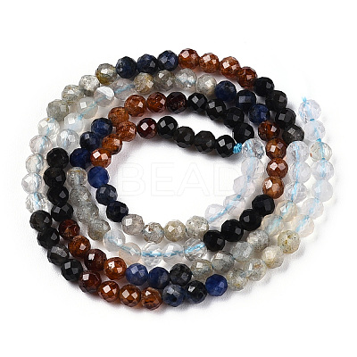 Natural Mixed Gemstone Beads Strands G-D080-A01-02-13-1