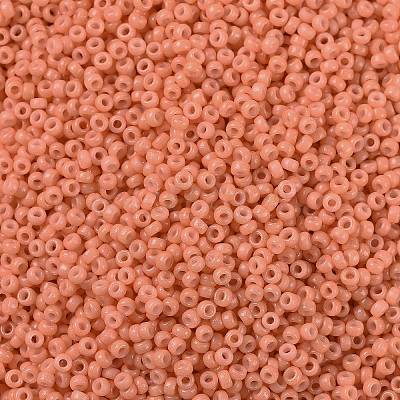 MIYUKI Round Rocailles Beads X-SEED-G009-RR4462-1