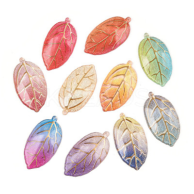 Printed Translucent Acrylic  Pendants OACR-T028-24-1