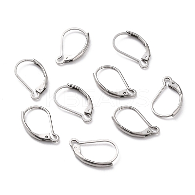 Non-Tarnish 304 Stainless Steel Leverback Earring Findings X-STAS-K233-04P-1