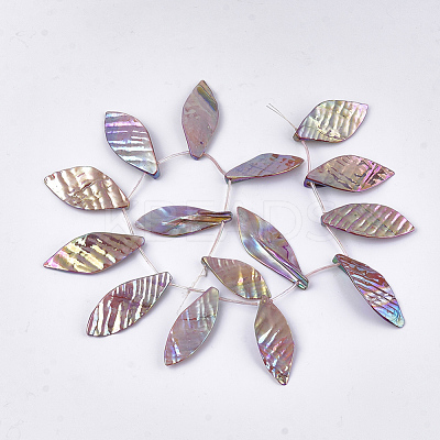 Freshwater Shell Beads Strands SHEL-T012-51D-1