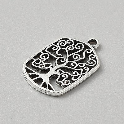 Tibetan Style Alloy Pendants FIND-WH0818-10AS-09-1