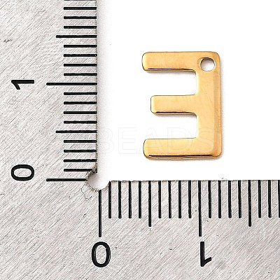 304 Stainless Steel Charms LS-STAS-B093-12G-E-1