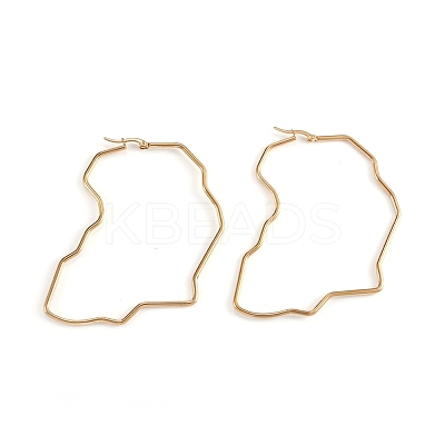 201 Stainless Steel Hoop Earrings EJEW-L243-19A-G-1