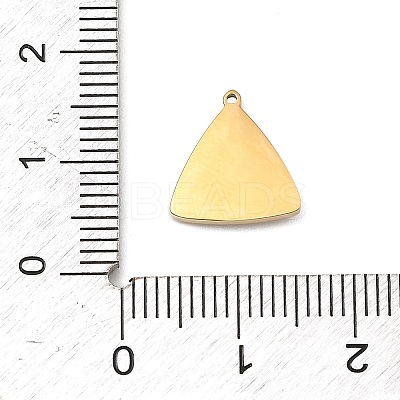 304 Stainless Steel Micro Pave Cubic Zirconia Charms LS-STAS-I356-04G-02-1