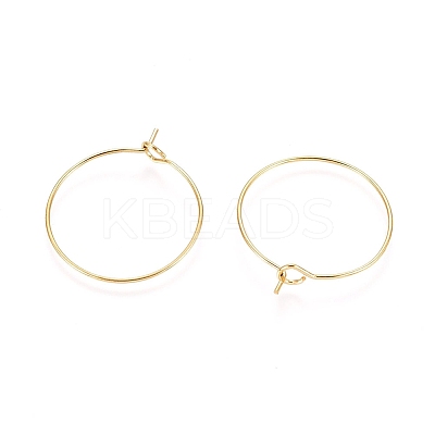 Ion Plating(IP) 316L Surgical Stainless Steel Hoop Earring Findings LS-STAS-D164-06G-1
