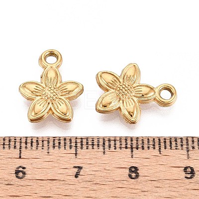 304 Stainless Steel Pendants LS-STAS-D366-07A-G-1