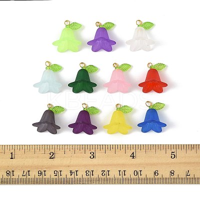 50Pcs Transparent Acrylic Pendants PALLOY-FS00043-05-1